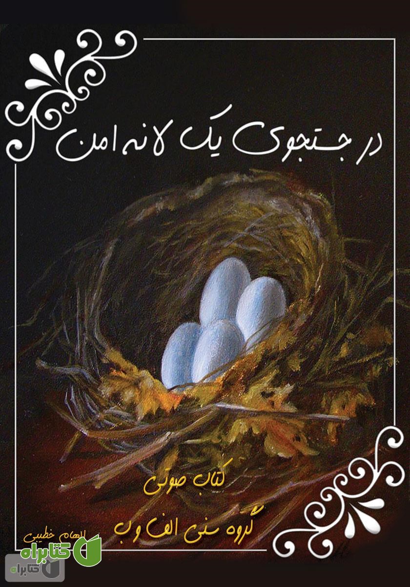 کتاب صوتی در جستجوی یک لانه امن