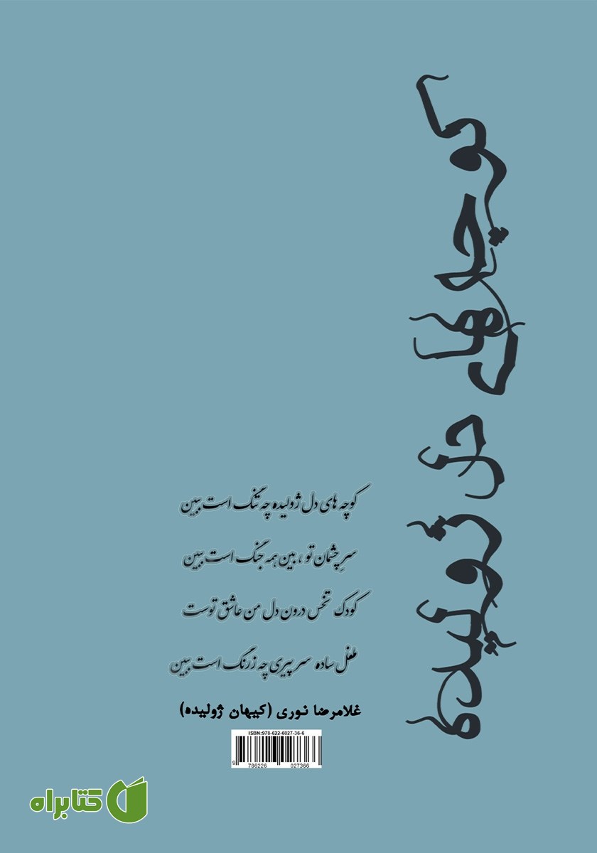 پشت جلد کتاب کوچه‌های دل ژولیده
