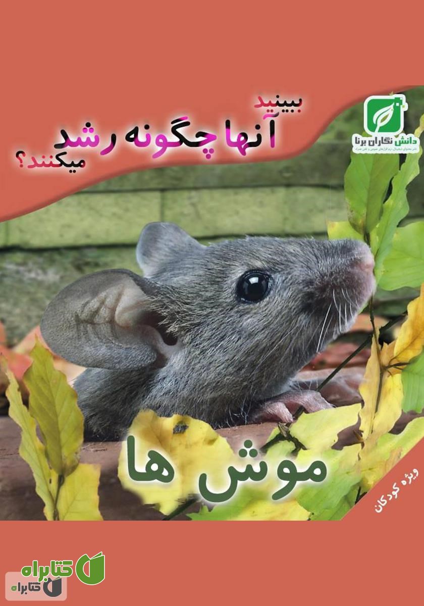 کتاب ببینید موش ها چگونه رشد میکنند؟