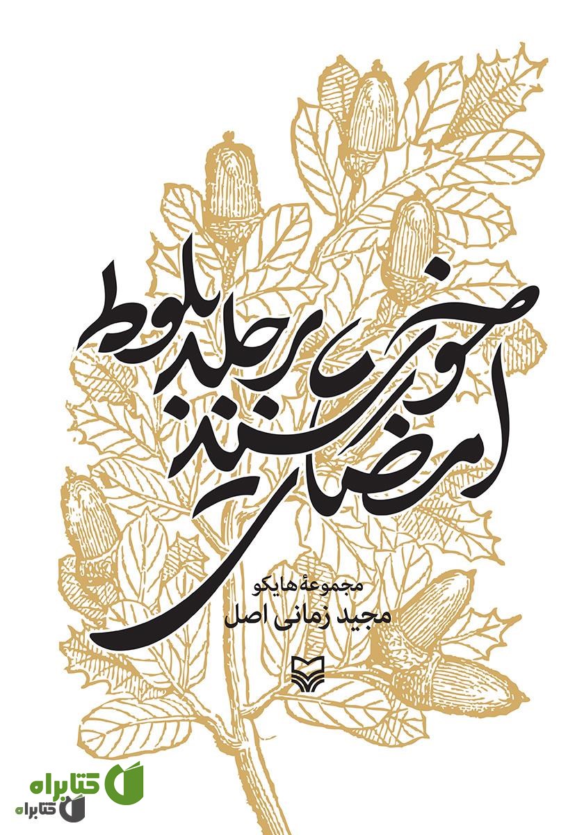 کتاب امضای خورشید بر جلد بلوط