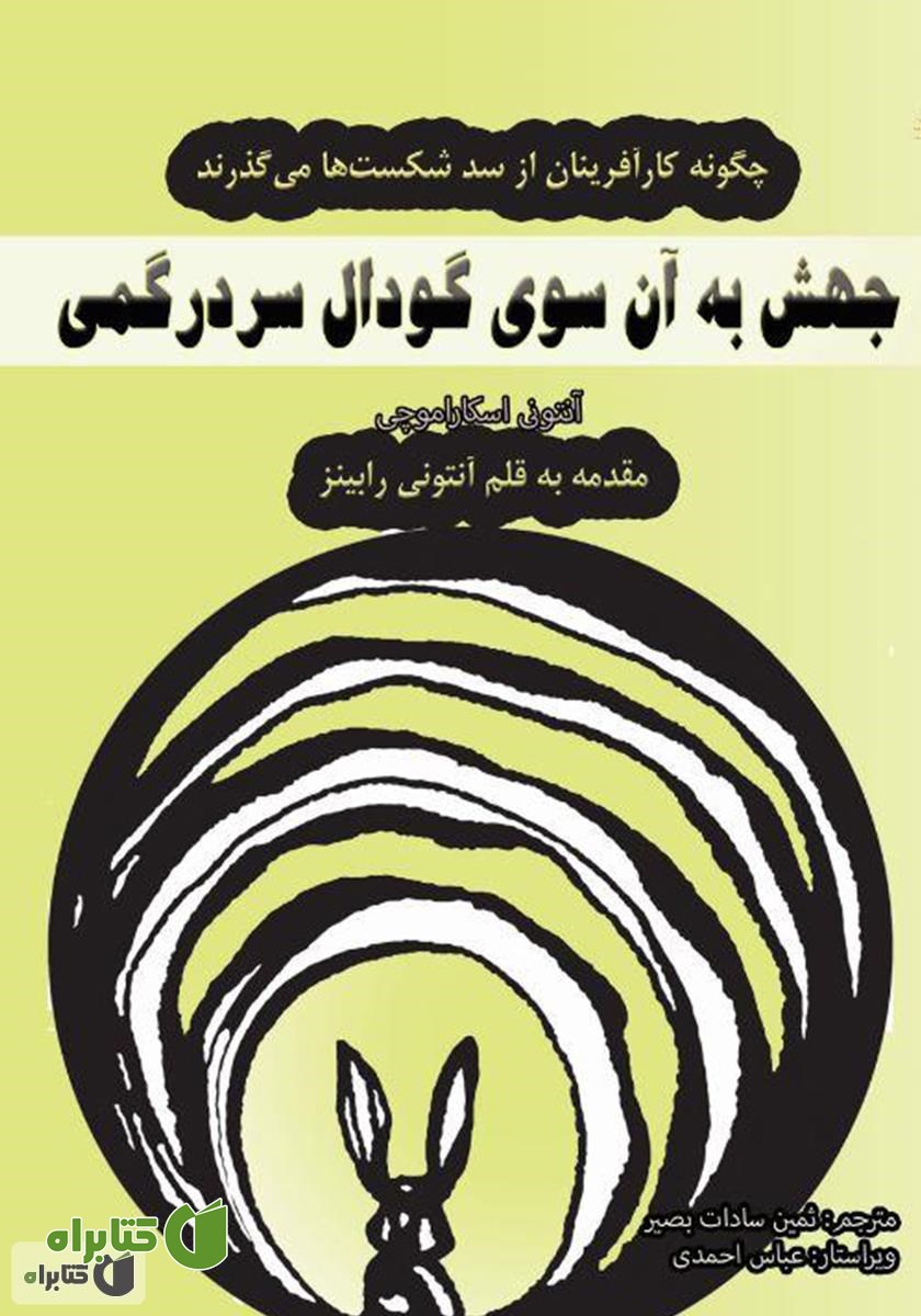 کتاب جهش به آن سوی گودال سردرگمی: چگونه کارآفرینان از سد شکست‌ها می‌گذرند