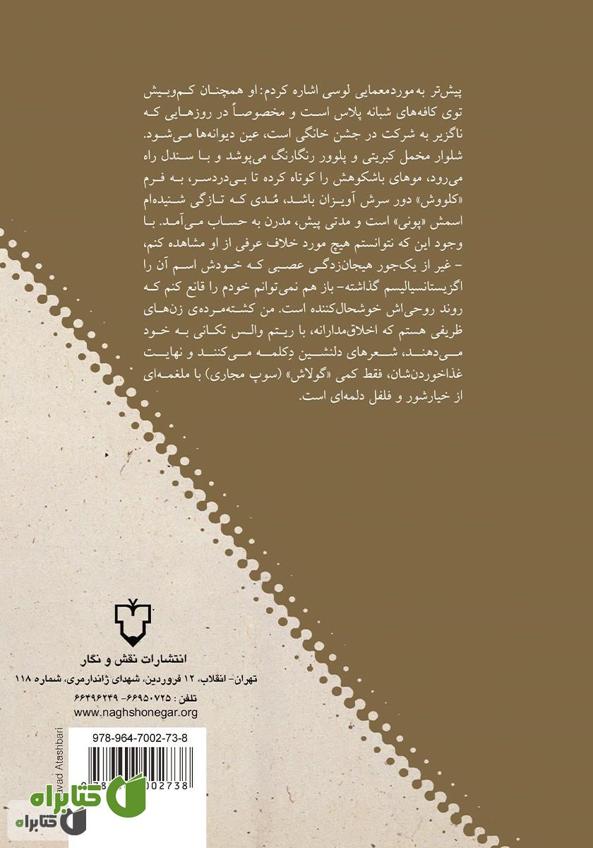 پشت جلد کتاب گم شدن در تصویر آینه: ده داستان کوتاه از نویسندگان آلمانی زبان