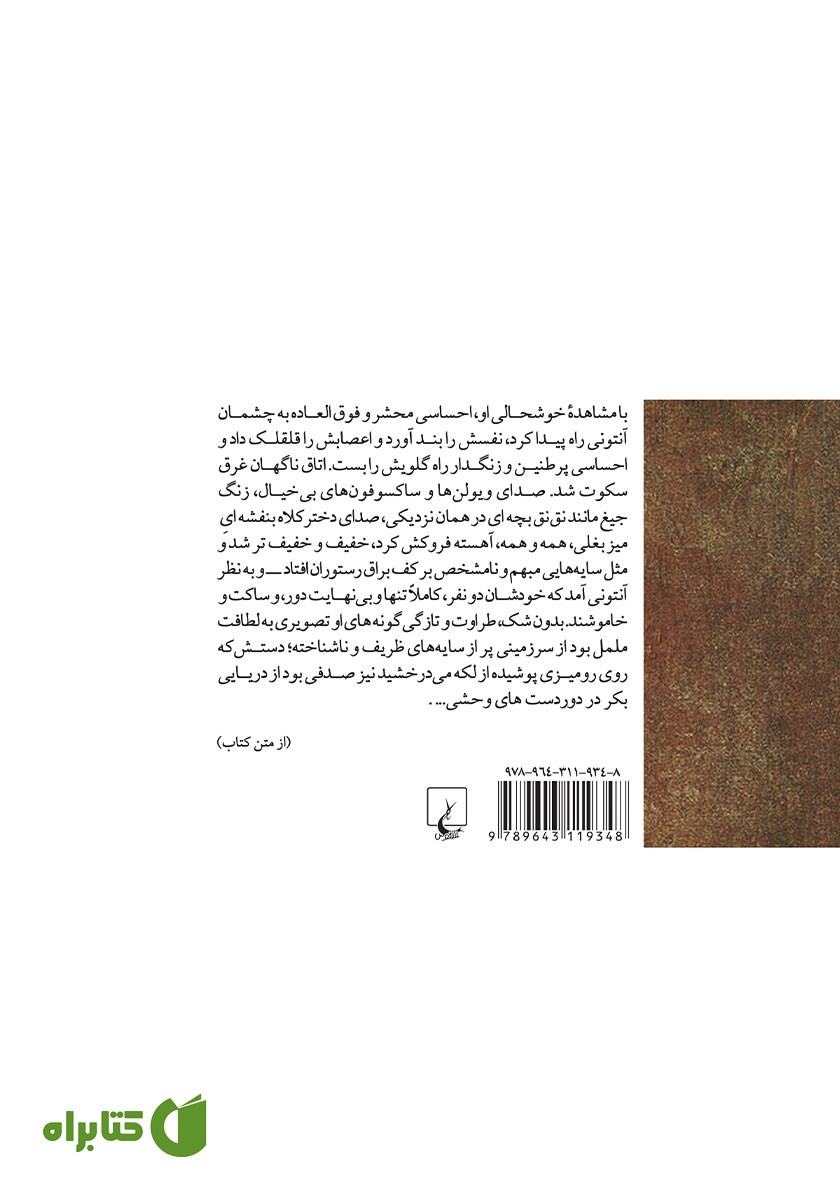 پشت جلد کتاب زیبا و ملعون