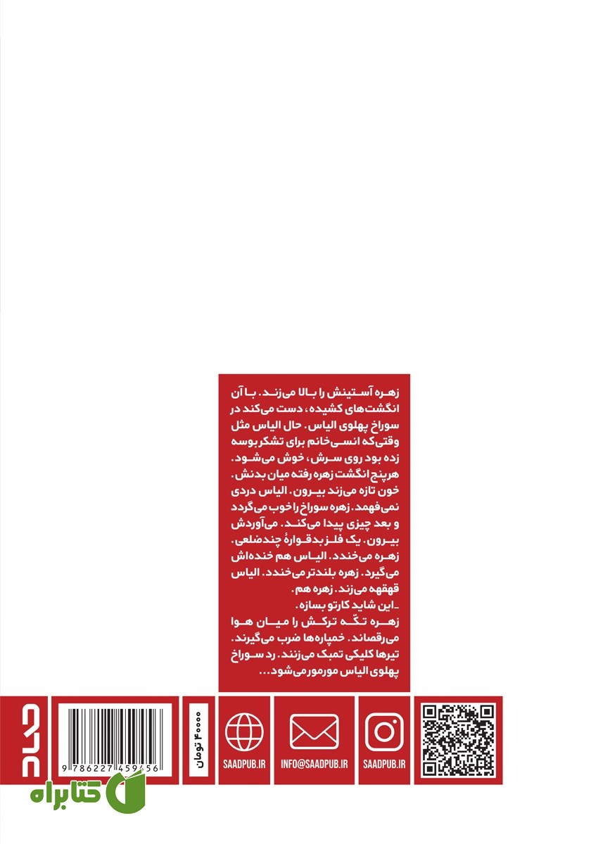 پشت جلد کتاب روزگار بوسه و خون