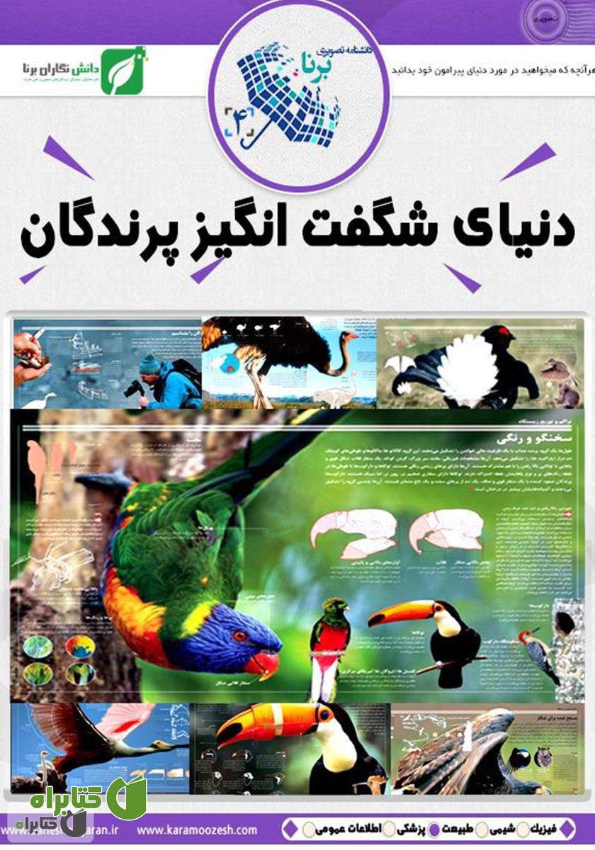 کتاب دنیای شگفت‌انگیز پرندگان