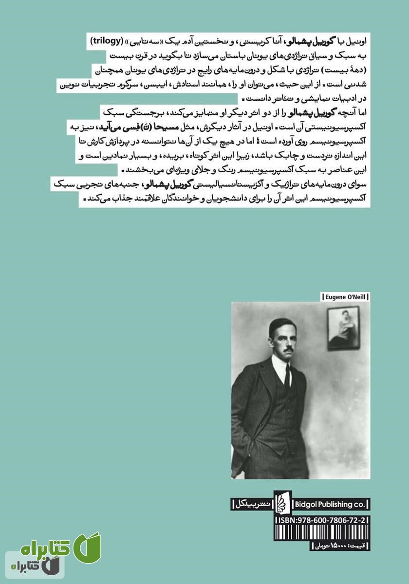 پشت جلد کتاب گوریل پشمالو
