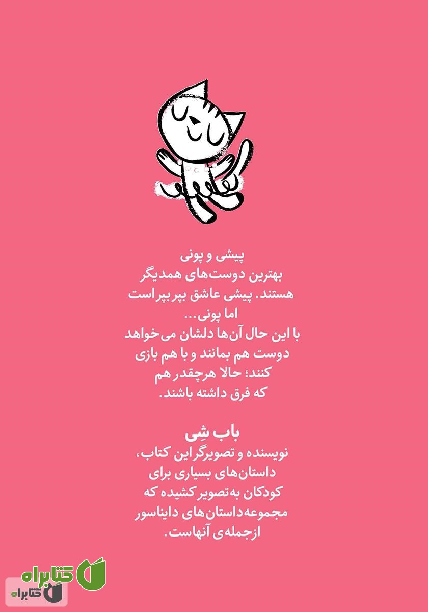 پشت جلد کتاب پیشی شاد: رازی که خیلی راز بود