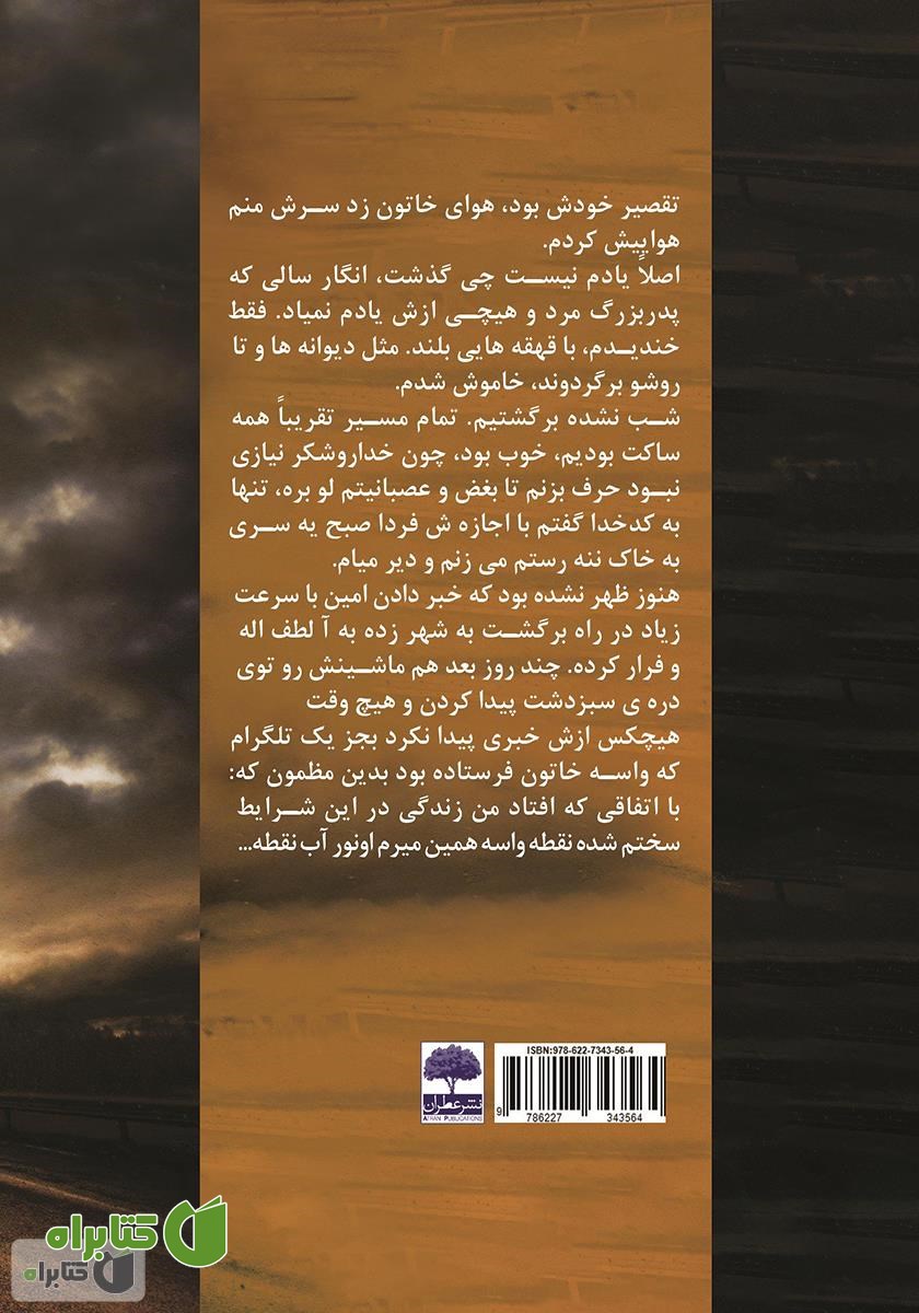 پشت جلد کتاب این نیز نمی‌گذرد