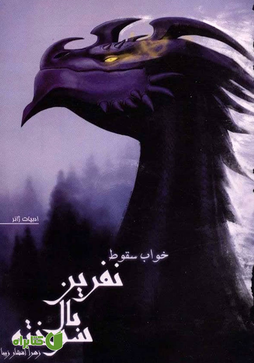 کتاب خواب سقوط