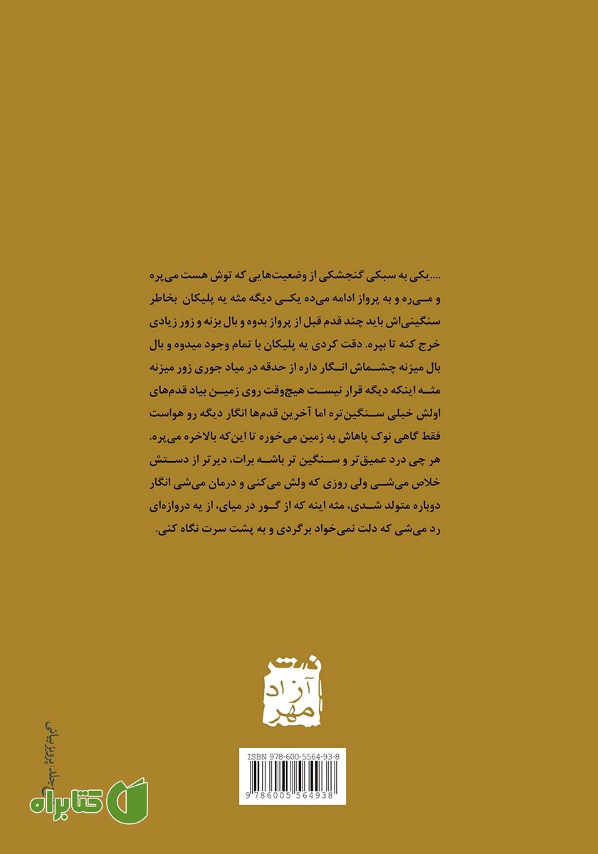 پشت جلد کتاب هفت گام یک پلیکان قبل از پرواز