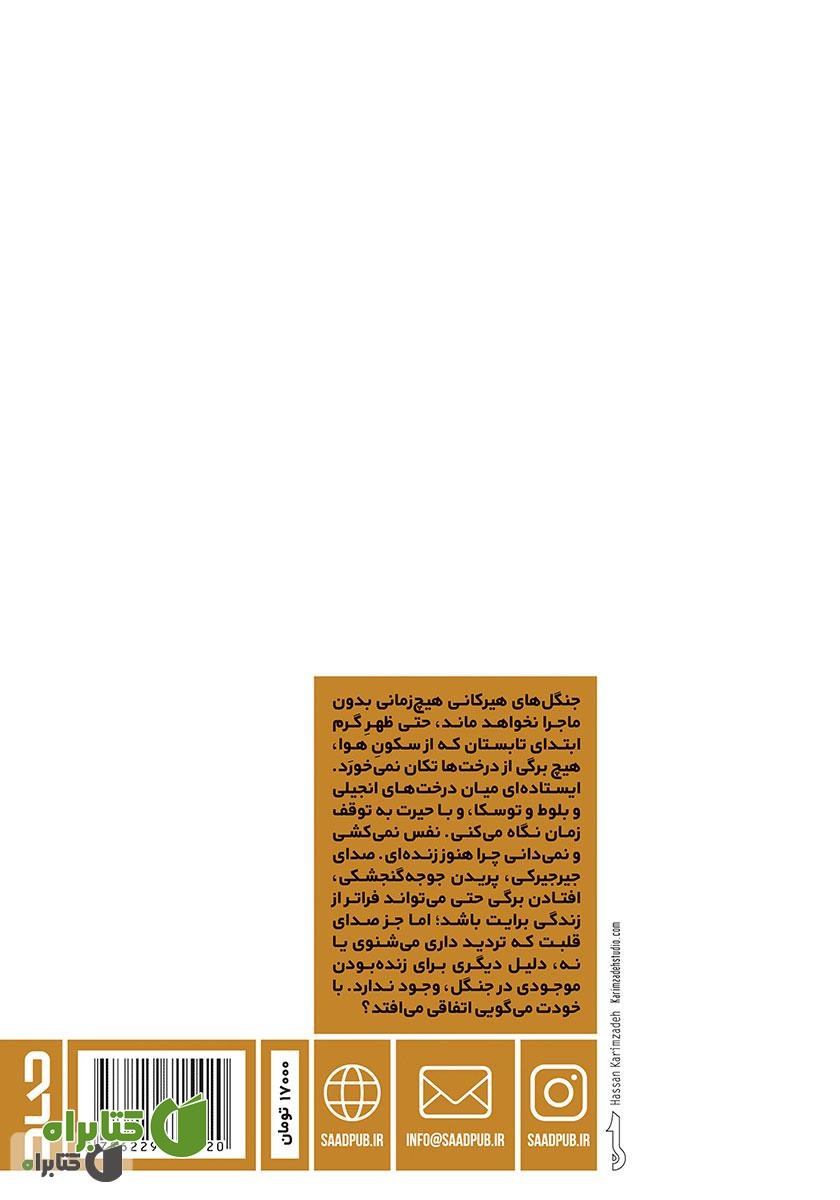 پشت جلد کتاب آلیش