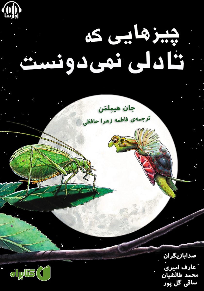 کتاب صوتی چیزهایی که تادلی نمی‌دونست