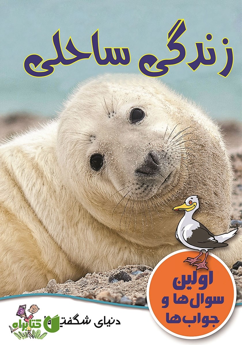 کتاب زندگی ساحلی