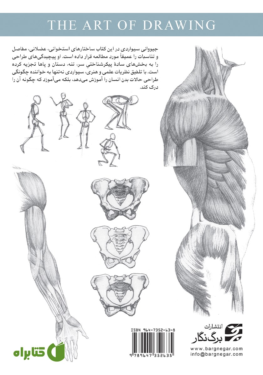 پشت جلد کتاب درک فرم و ساختار انسان