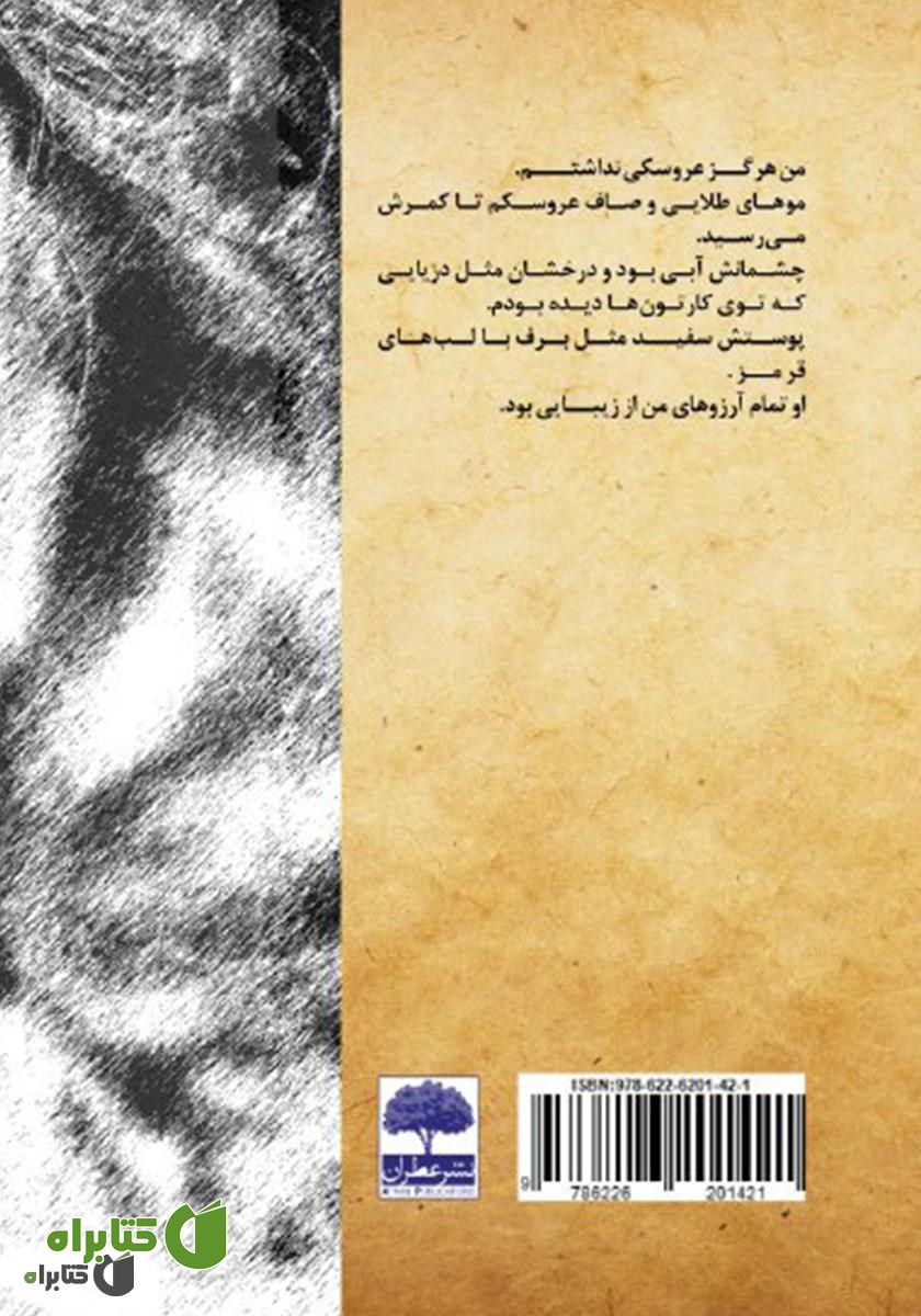 پشت جلد کتاب چشمان خاکستری