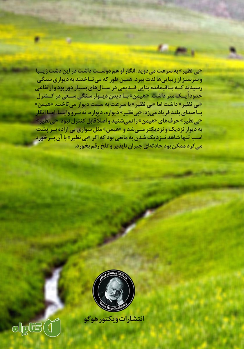 پشت جلد کتاب بی‌نظیر