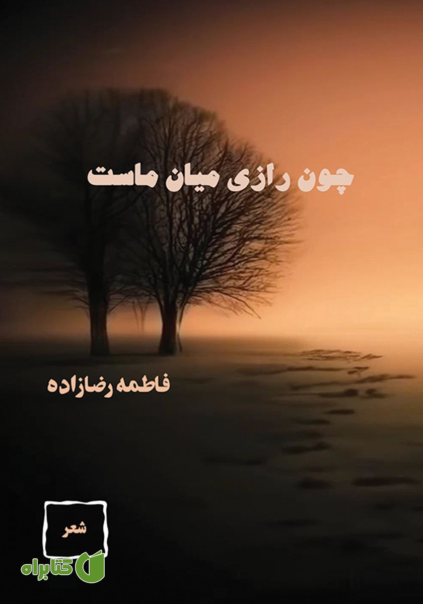 کتاب چون رازی میان ماست