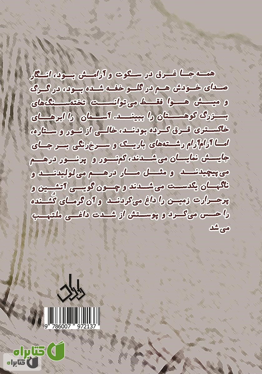 پشت جلد کتاب آن سوی دیوار شیشه‌ای