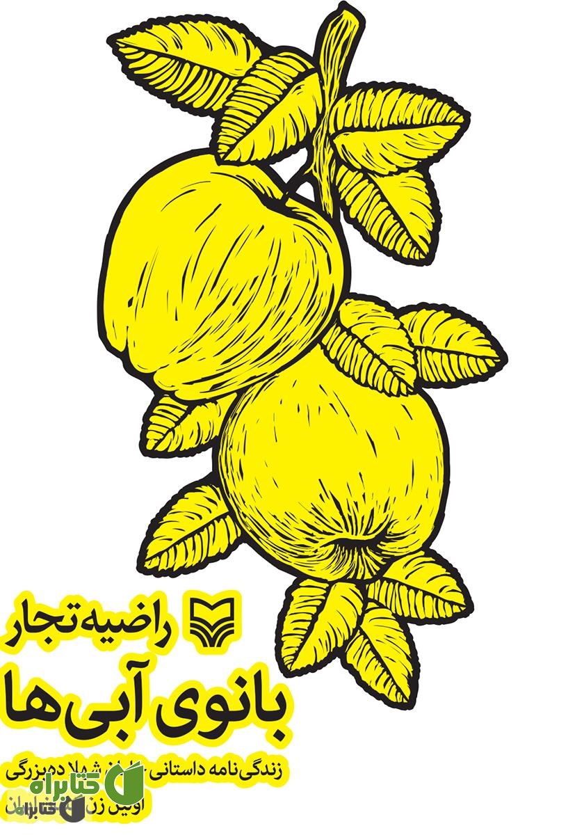 کتاب بانوی آبی ها: زندگینامه داستانی خلبان شهلا ده بزرگی اولین زن خلبان ایران