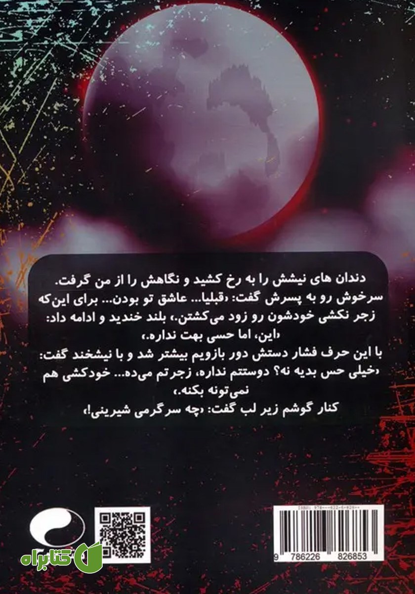 پشت جلد کتاب نیمه گمشده