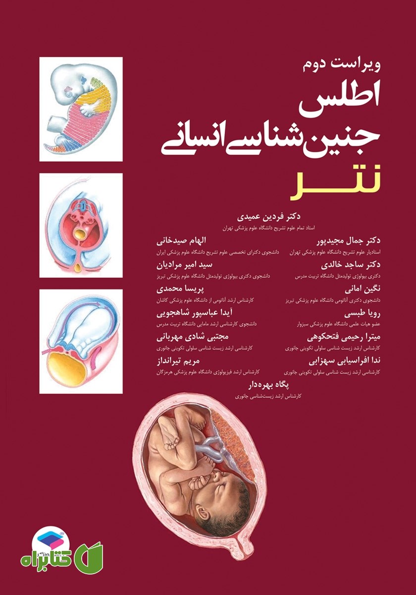 کتاب اطلس جنین شناسی انسانی نتر 2024