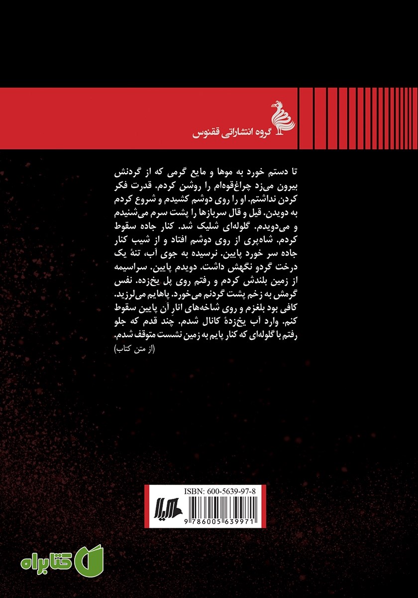 پشت جلد کتاب شاه پری