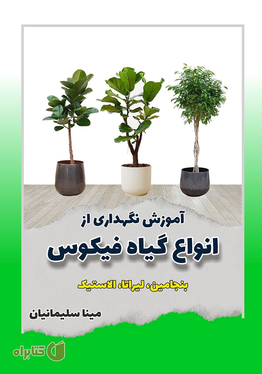 کتاب آموزش نگهداری از انواع گیاه فیکوس