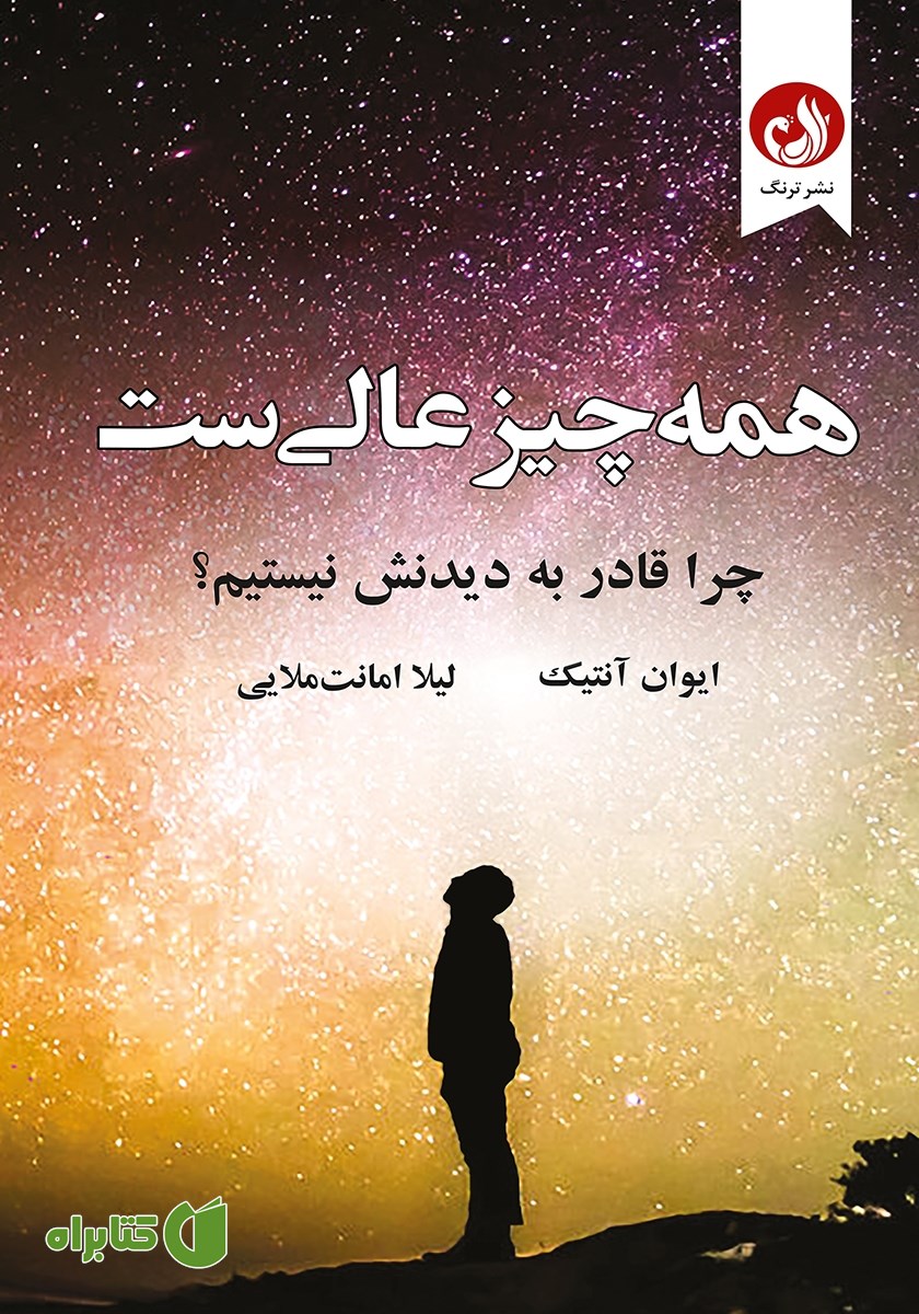 کتاب همه چیز عالی است