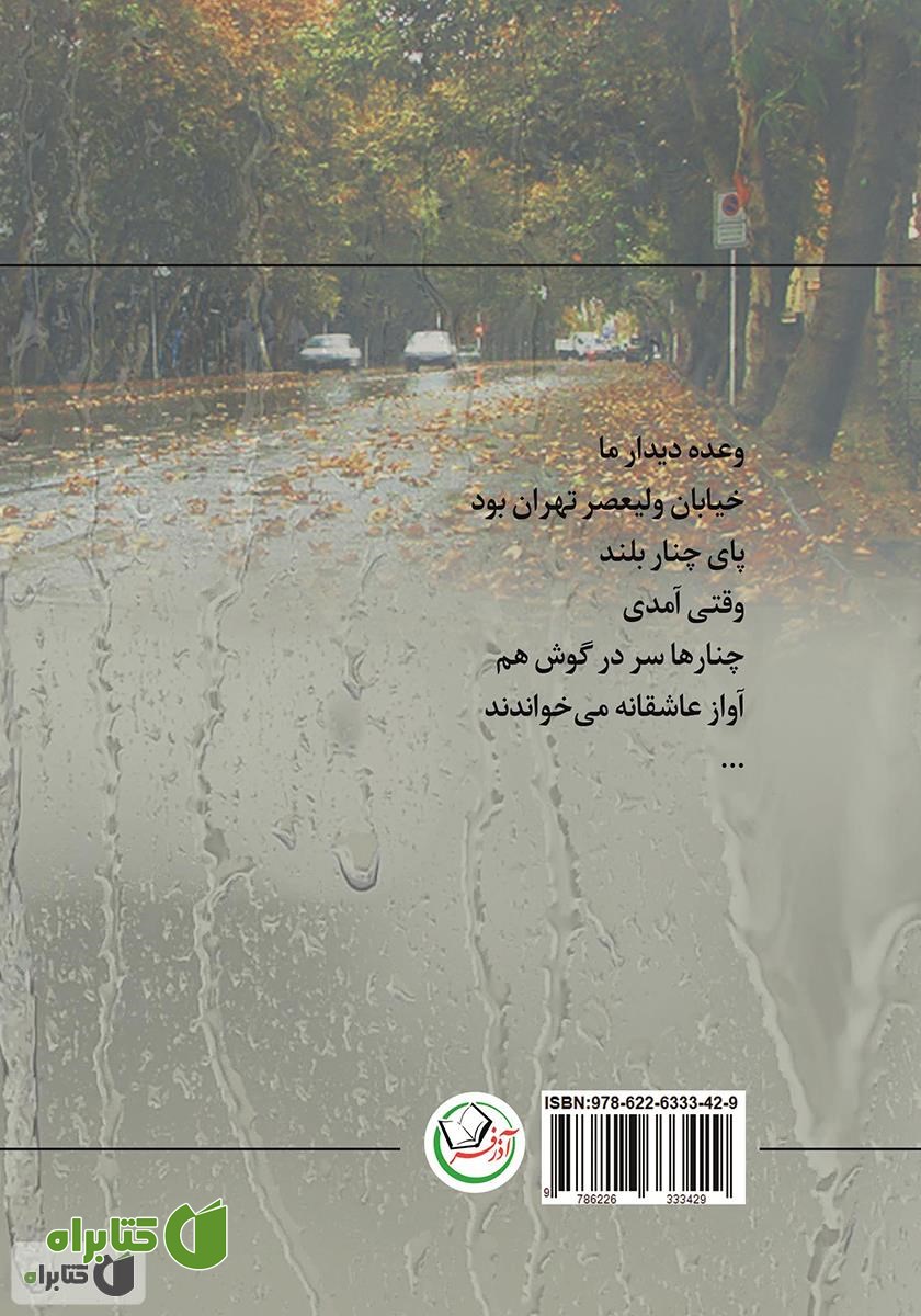 پشت جلد کتاب چهار راه ولیعصر