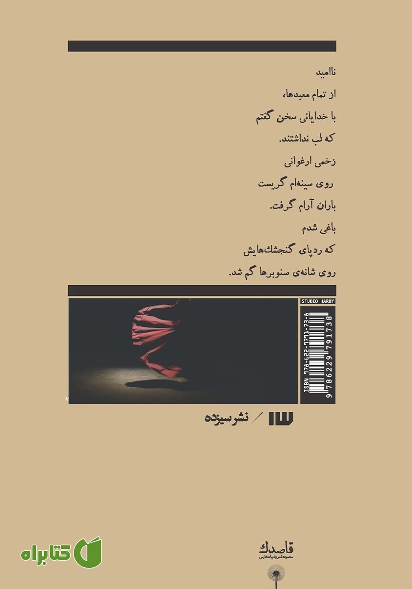 پشت جلد کتاب طاق‌های ضربی مغول‌ها