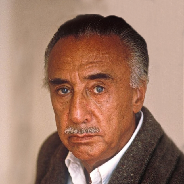 عکس رومن گاری عکس رومن گاری