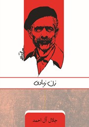 دانلود کتاب زن زیادی