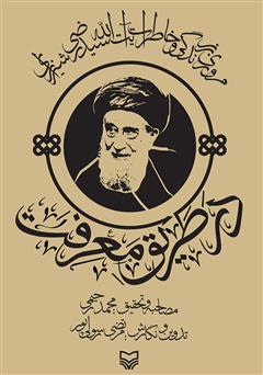 دانلود کتاب در طریق معرفت: مروری بر زندگی و خاطرات آیت‌الله سید رضی شیرازی‌‫