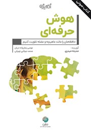 معرفی و دانلود کتاب صوتی هوش حرفه‌ای