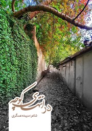 دانلود کتاب در انتهای کوچه