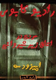 دانلود مردی در اتاق زیر شیروانی: رادیو کابوس - اپیزود سوم