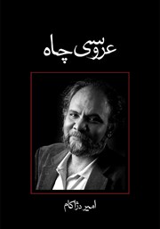 دانلود کتاب عروسی چاه