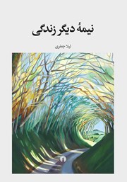 دانلود کتاب نیمهی دیگر زندگی