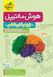 دانلود کتاب هوش مالتیپل تیزهوشان ششم