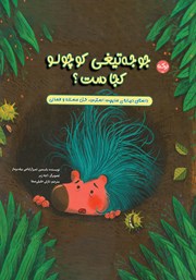 دانلود کتاب صوتی جوجه تیغی کوچولو کجاست؟