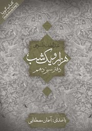 دانلود کتاب صوتی هزار و یک شب - دفتر سیزدهم