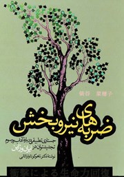 معرفی و دانلود کتاب ضربه‌های نیروبخش