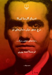 دانلود کتاب مرغ عشق میان دندان‌های تو