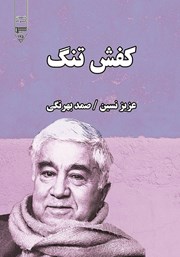 دانلود کتاب کفش تنگ