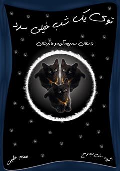 معرفی و دانلود کتاب توی یک شب خیلی سرد