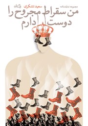 دانلود کتاب من سقراط مجروح را دوست دارم