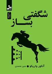 دانلود کتاب شگفتی بساز