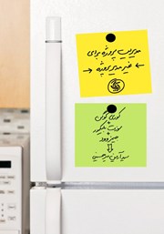 دانلود کتاب مدیریت پروژه برای غیر مدیر پروژه