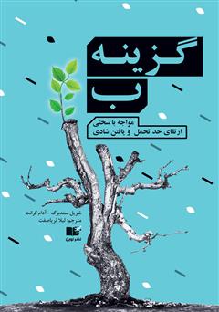 دانلود کتاب گزینه ب؛ مواجهه با سختی، ارتقای حد تحمل و یافتن شادی