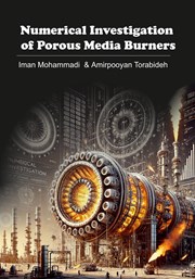دانلود کتاب Numerical Investigation of Porous Media Burners